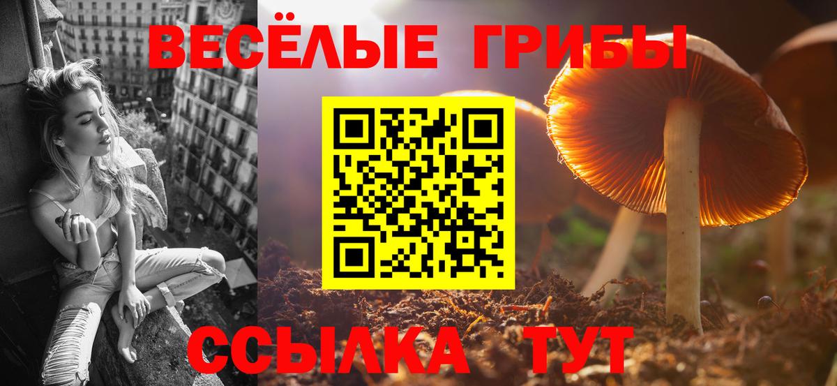 Галлюциногенные грибы Cubensis Ярцево