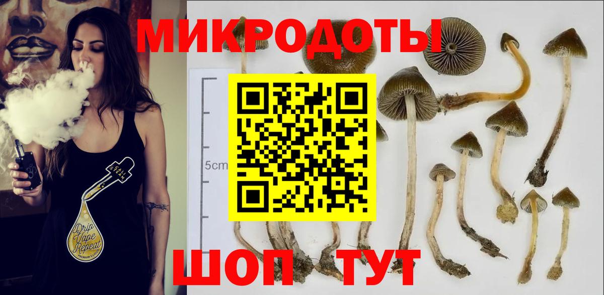 Псилоцибиновые грибы MAGIC MUSHROOMS  Вход с VPN  Ярцево 
